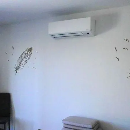 De 2 Chambres A Palasca A 100 M De La Avec Piscine Privee Jardin Amenage Et Wifi