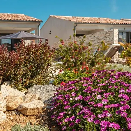 De 2 Chambres A Palasca A 100 M De La Avec Piscine Privee Jardin Amenage Et Wifi ヴィラ